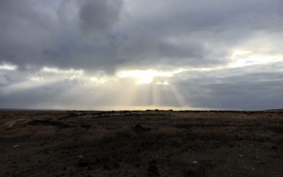 Ritterrüstung bis ins Grab