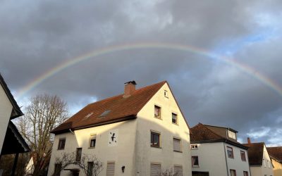 12 von 12 im Februar 2026 – ein Spaziergang in Bildern