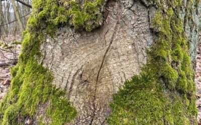 Sich ein Herz fassen