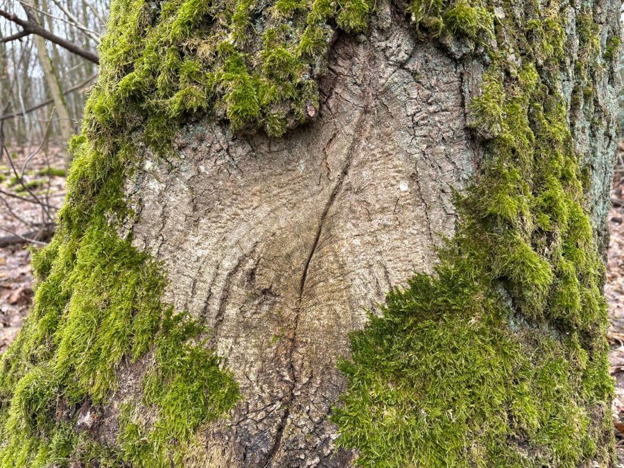 Sich ein Herz fassen