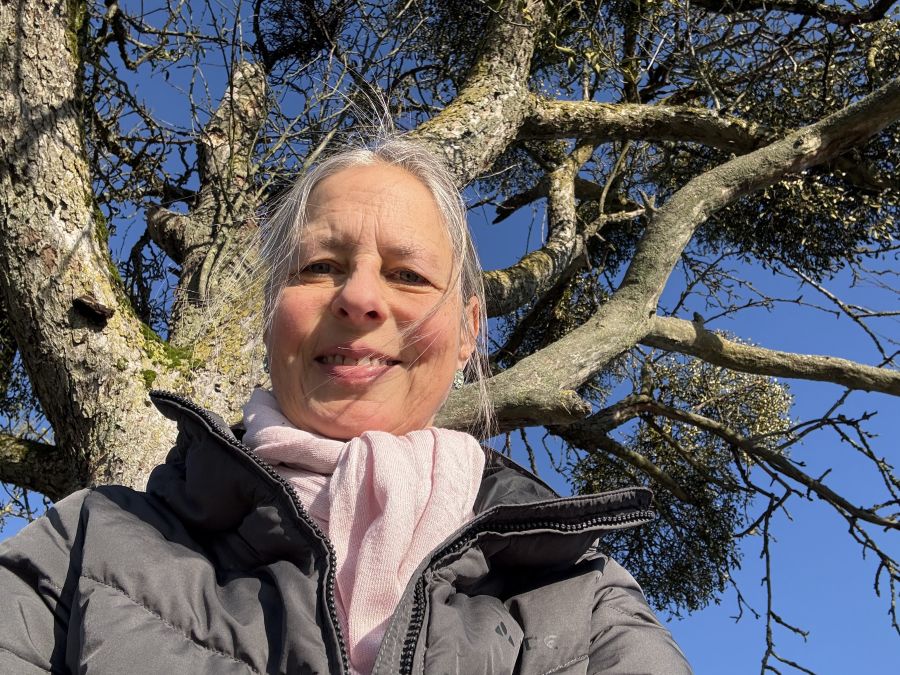 Monatsrückblick Januar 2026: