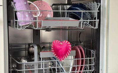 Ode an mein bestes Pferd im Stall