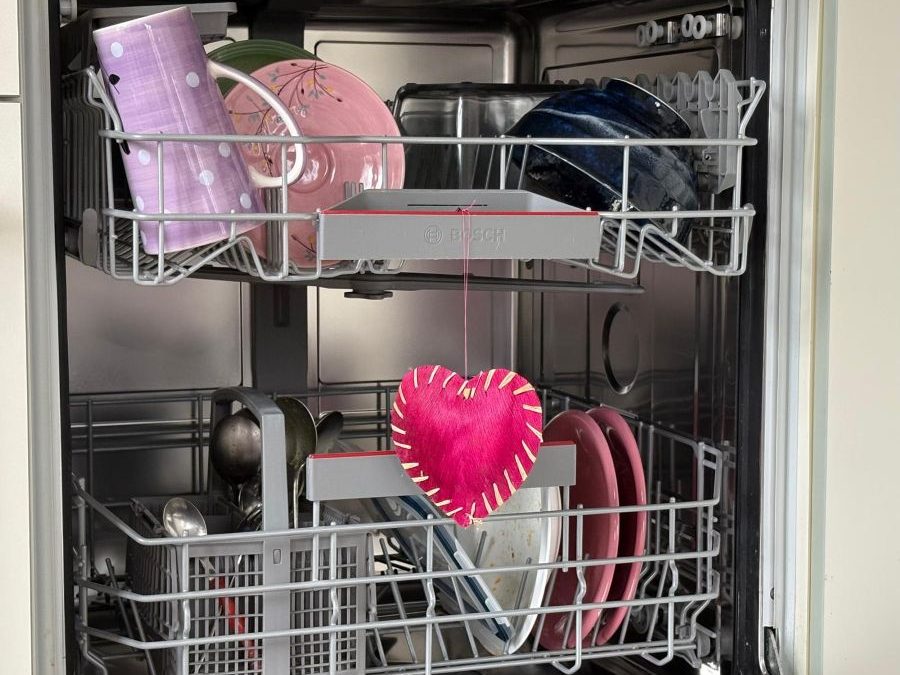 Ode an mein bestes Pferd im Stall