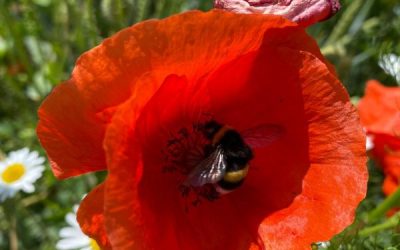 100 Dinge, für die ich dankbar bin