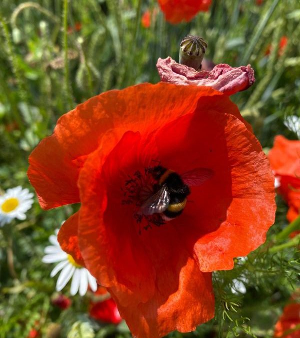 100 Dinge, für die ich dankbar bin