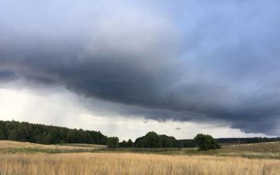 Es toben tausend Stürme