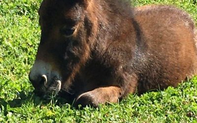 2016 bis 2026: 10 Veränderungen, auf die ich stolz bin