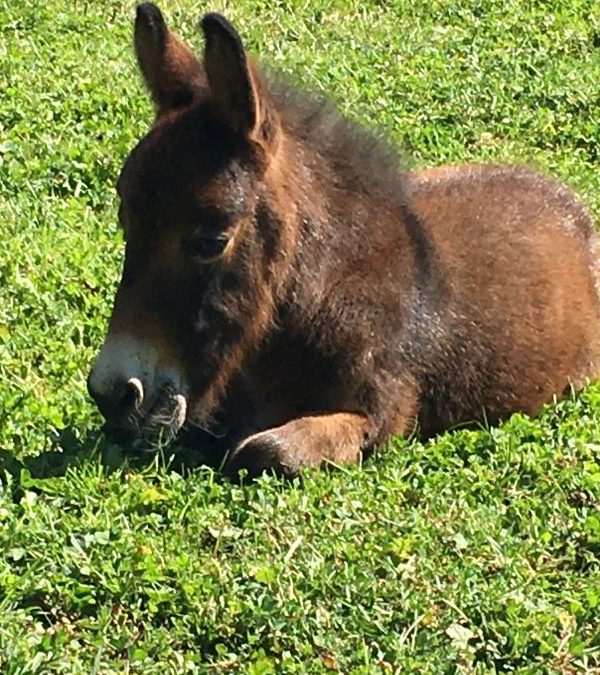 2016 bis 2026: 10 Veränderungen, auf die ich stolz bin